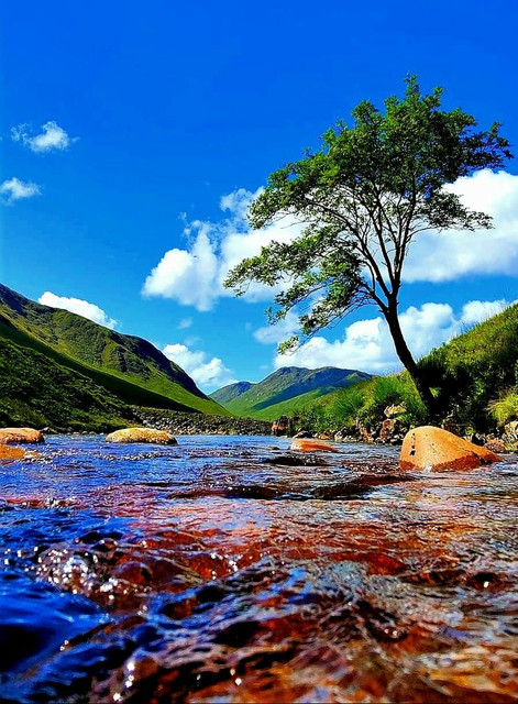 Scotland