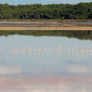 IMG-2404