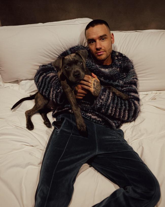 Su causa de muerte se debió a “politraumatismo” y “hemorragia interna y externa”.Instagram/@liampayne