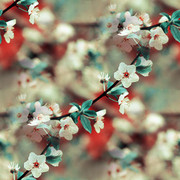 c8a13bab5ab5