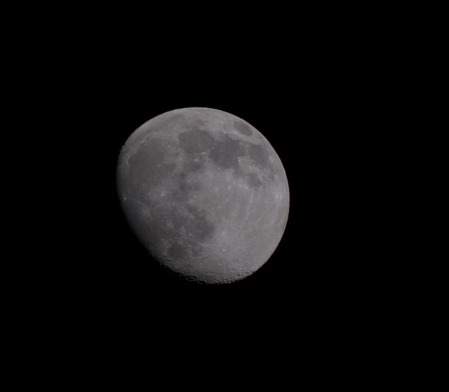 DSCF0650