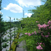 P1330809