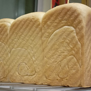 IMG-20240216-201151