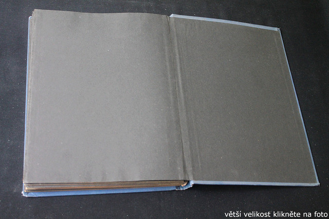 IMG-3559.jpg
