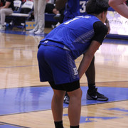 IMG-4560