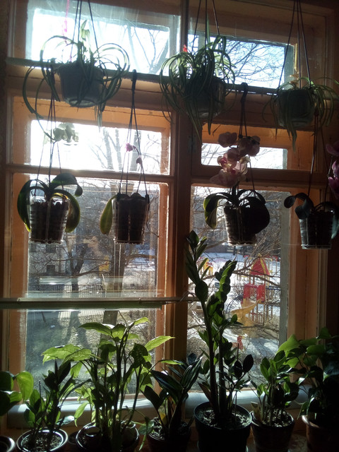 IMG-20220401-085822.jpg