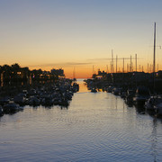 IMG-3642