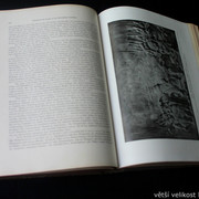 IMG-6370