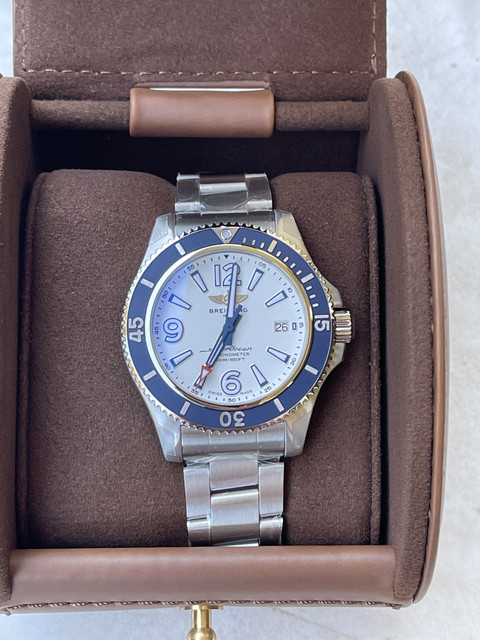 La petite dernière vient d'arriver IMG-4117