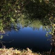 100c0100207m