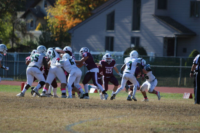 IMG-8397.jpg
