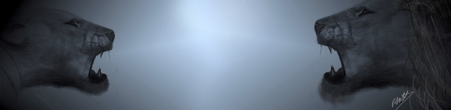 IMG-0330