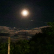 IMG-20220711-221626