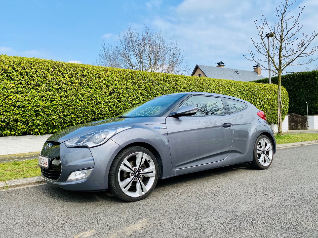veloster20204.jpg