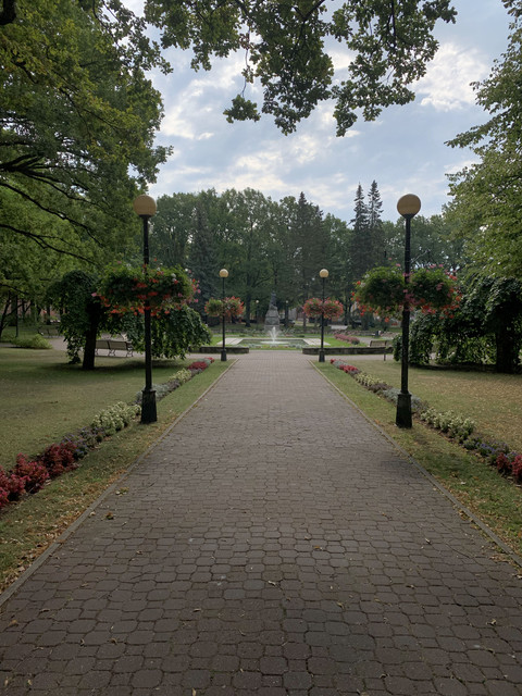 IMG-3356