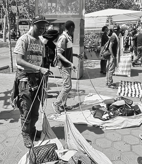 IGP5207bw