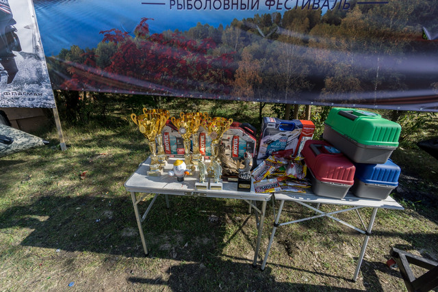DSC00387.jpg