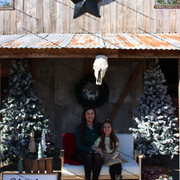 IMG-6342