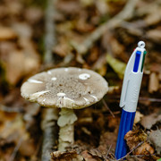 DSF6588