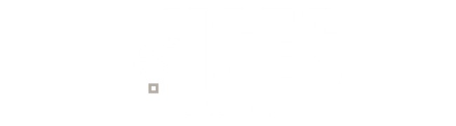 AISES