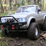 IMG 3355