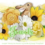 Jewels-4383-B