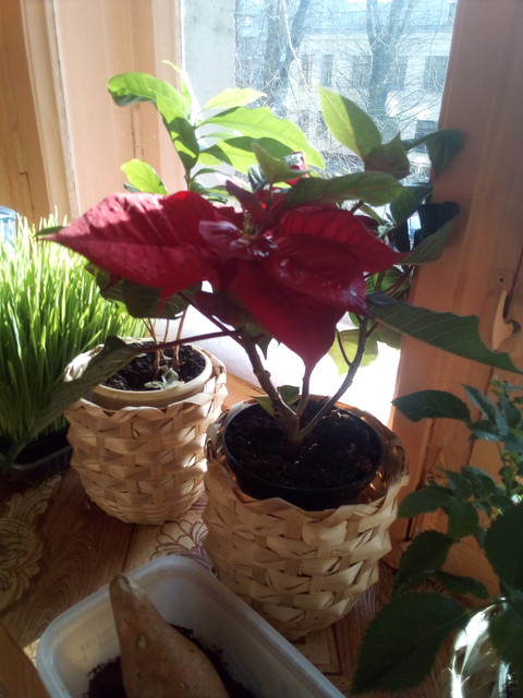 IMG-20220401-085923.jpg