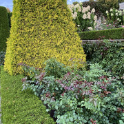 IMG-0705