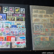 IMG-3117