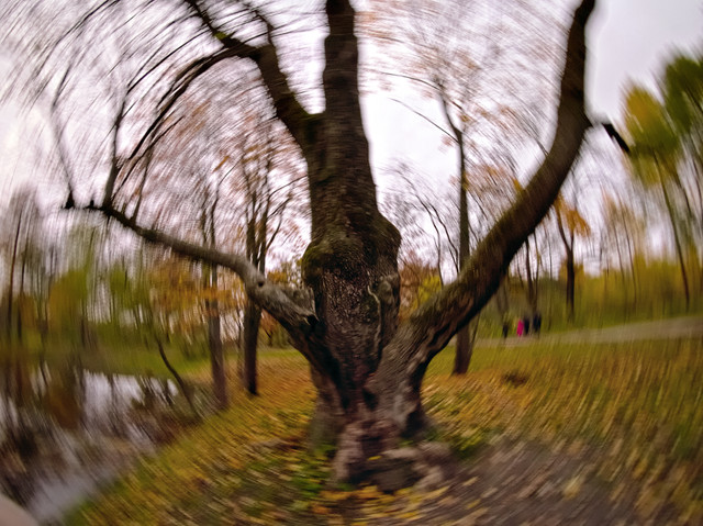 OLYMPUS-DIGITAL-CAMERA.jpg