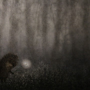 IMG-3638