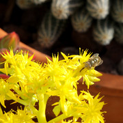 IMG-7058