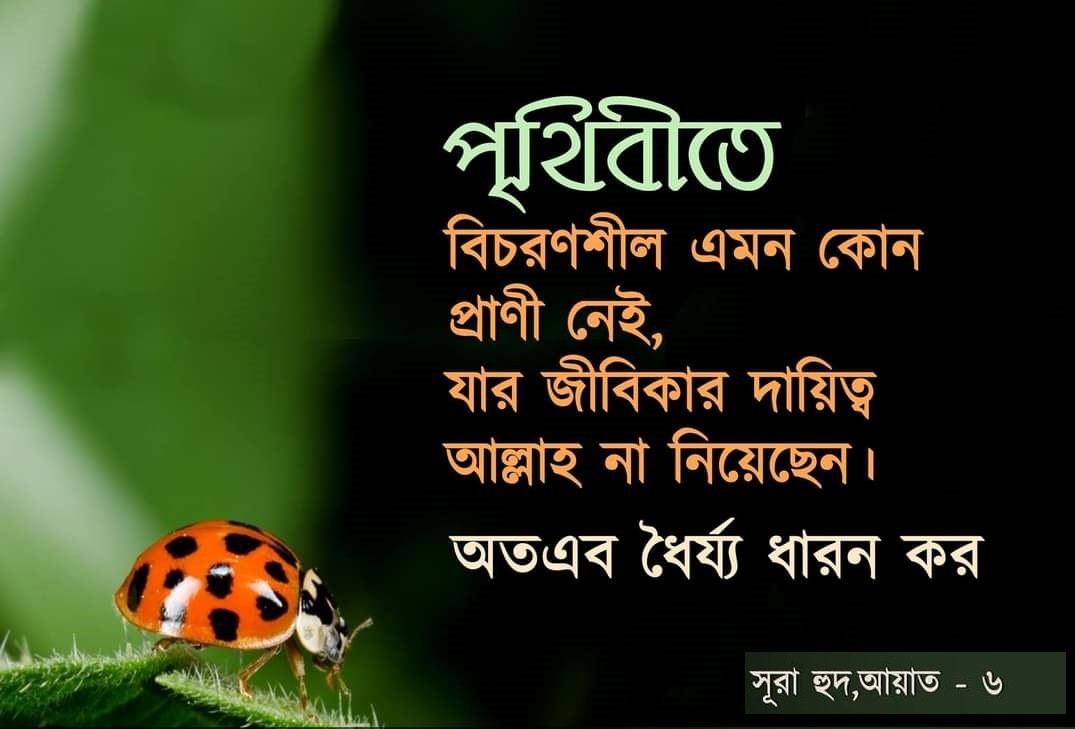 বাণী চিত্র