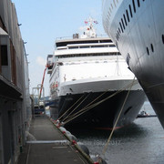 IMG-5395
