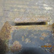 IMG-5572
