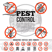 3 Ways to Control Pests In and Around Your Home - Webexpertsblog