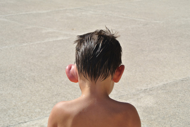 DSC-5995.jpg