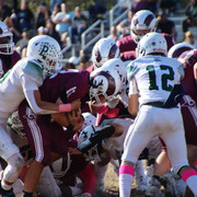 IMG-4619