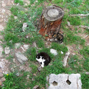 IMG-0393-2