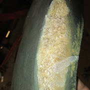 IMG-8551