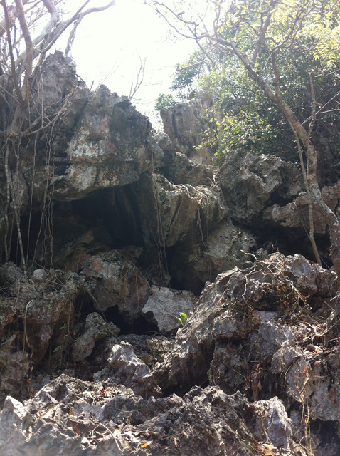 IMG-5464