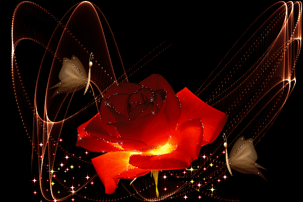 flower-269