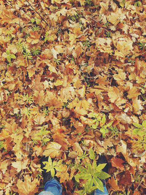 Processed-with-VSCO-with-9-preset