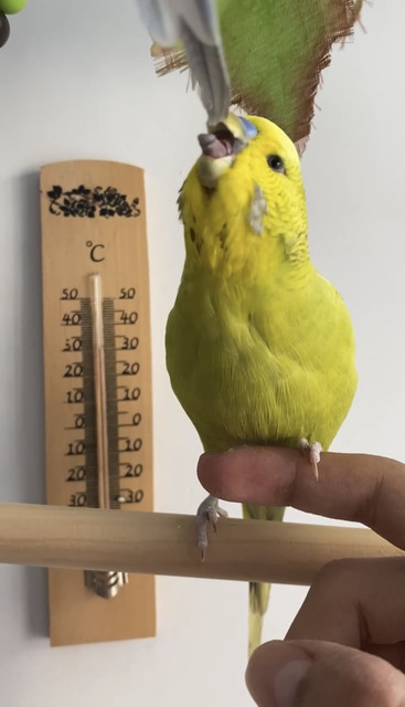 IMG-8118