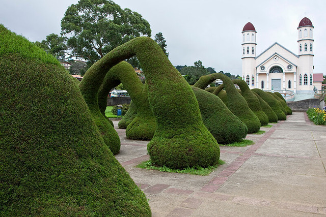 Topiary-in-Costa-Rica