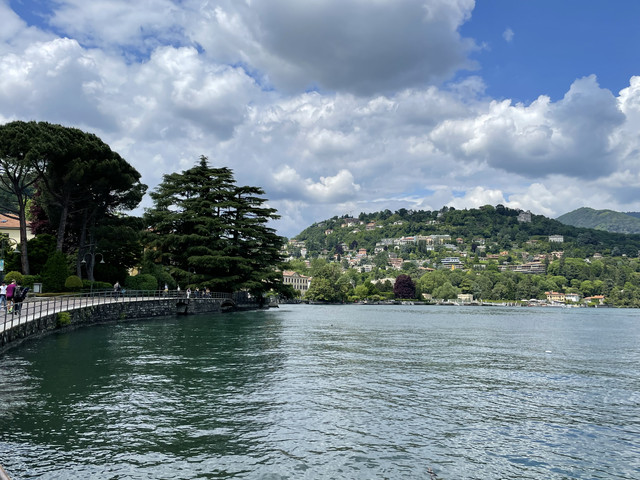 IMG-0383