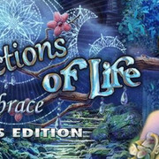 Reflectionlife13ce