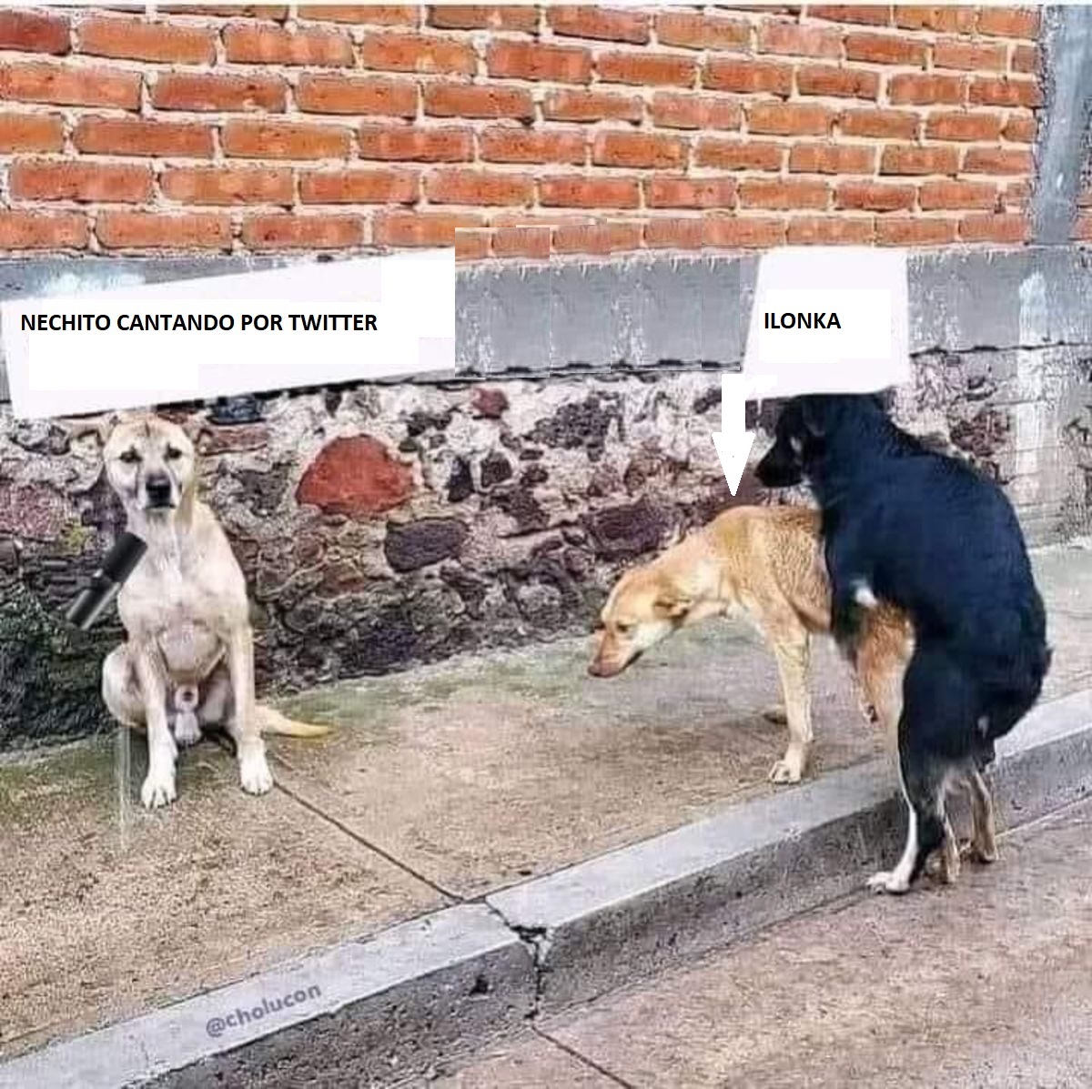 Ilonka.jpg
