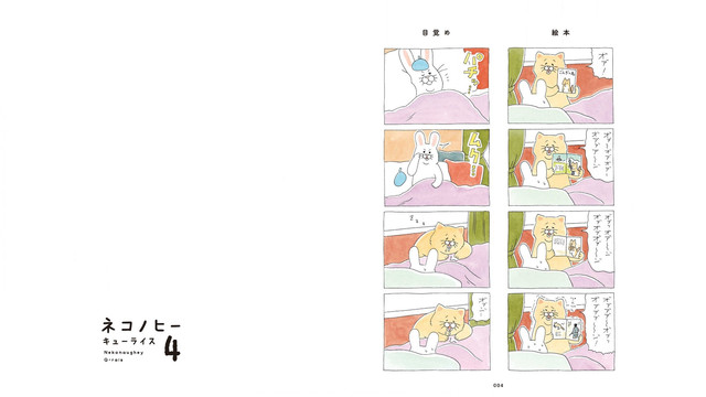DLRAW-NET-04
