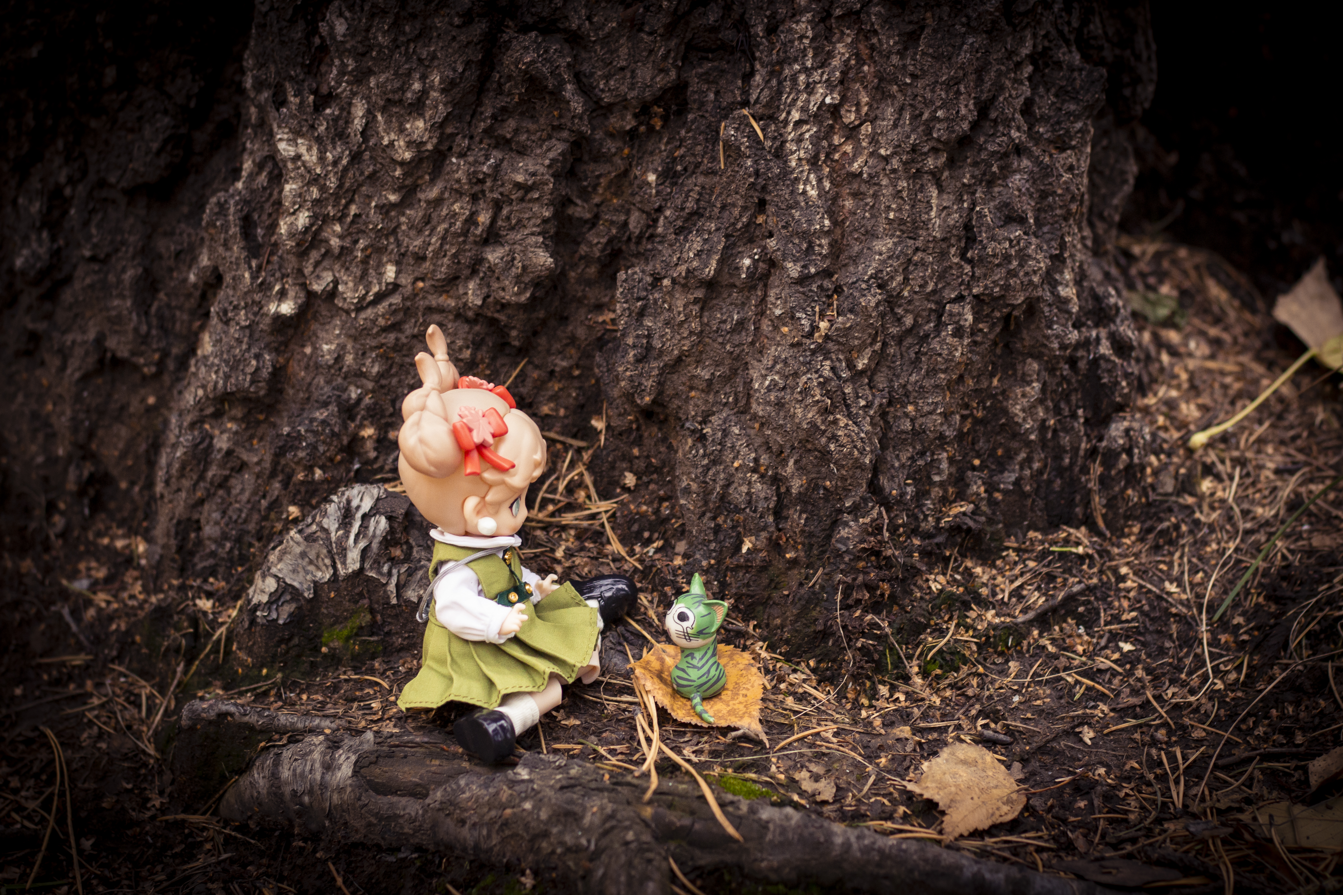 IMG-7334